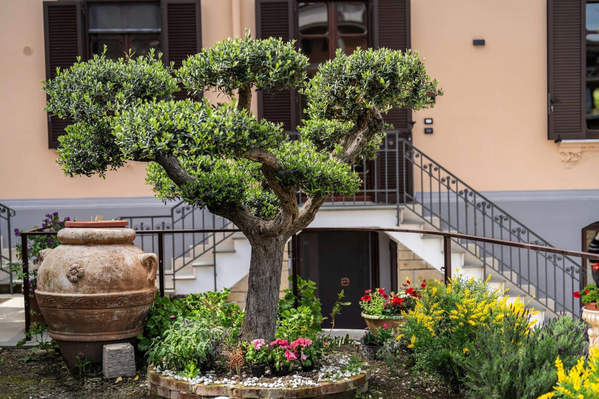 Villa Agostino Luxury B&B Vico Equense Exterior photo